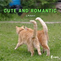 Album artwork LP0011