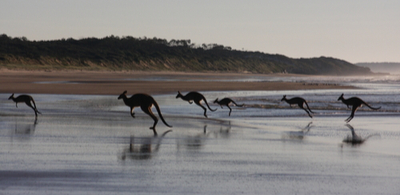 Album artwork Australia