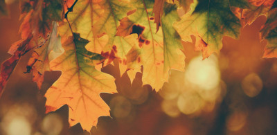 Album artwork for playlist Herbstbeginn