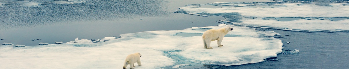 Playlist image Klimawandel