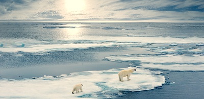 Album artwork Climate Change