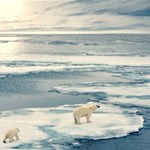 Album artwork Climate Change