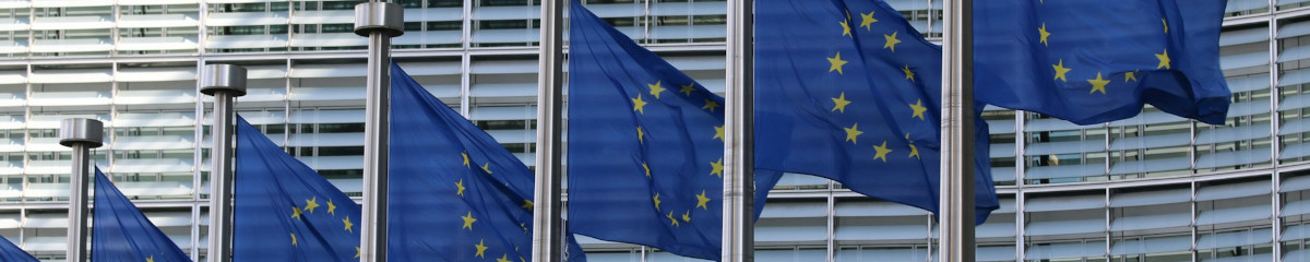 Playlist image 2024 European Parliament election