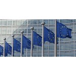 Album artwork 2024 European Parliament election