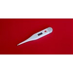 Album artwork Flu Season