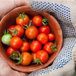 Album artwork Gardening