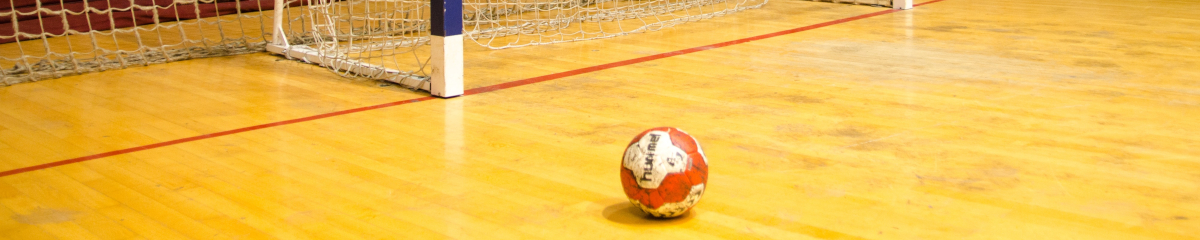 Playlist image Handball-EM 2020