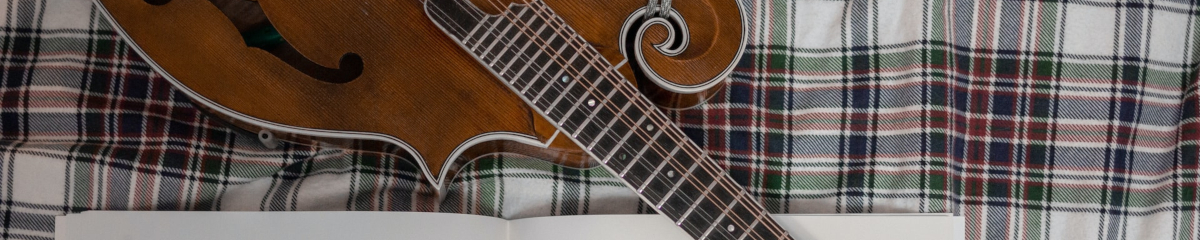 Playlist image Instrument of the year: the mandolin