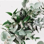 Album artwork Mindfulness