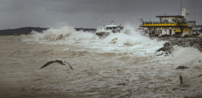 Album artwork The North Sea and life on the coast