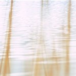 Album artwork Best of neutral