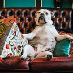 Album artwork Staying Home