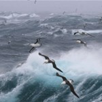 Album artwork Storms, severe weather and climate change