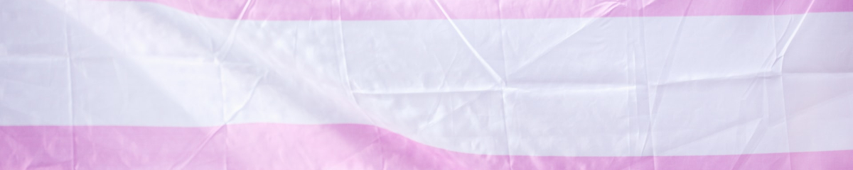 Playlist image 31.März: International Transgender Day of Visibility