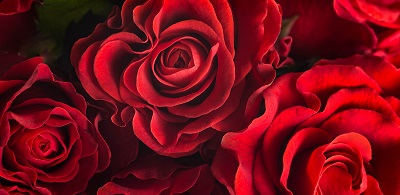 Album artwork Valentine's Day