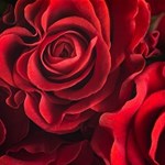 Album artwork Valentine's Day