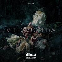 Album artwork TWAS 007